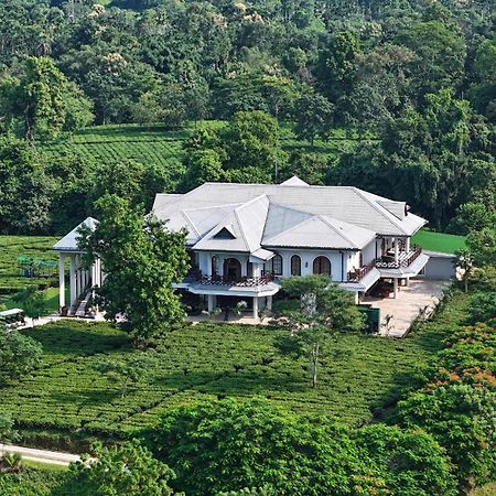 Vaani Greens Wildlife Resort, Kaziranga Kuthari Dış mekan fotoğraf